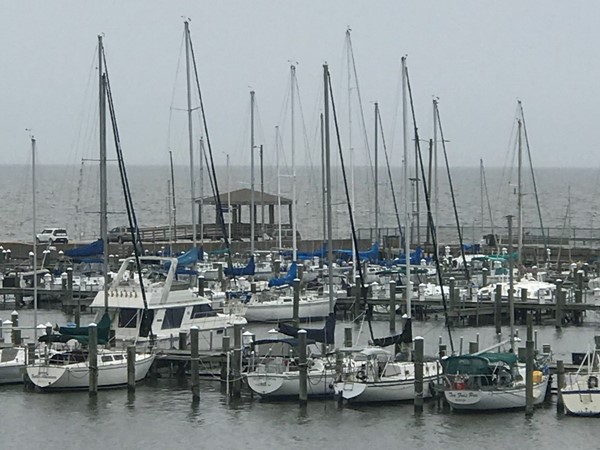 Gorgeous view overlooking the Long Beach Yacht Club