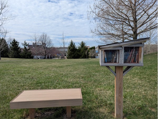 Little library located on N Farley Ave, in between the elementary school and the pool