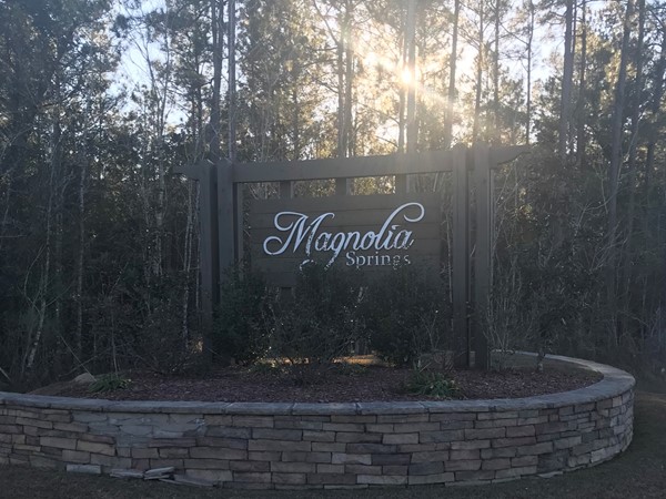 Welcome to Magnolia Springs 