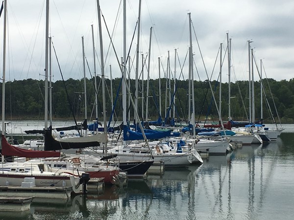 Sailing anyone? Greers Ferry Lake is so beautiful