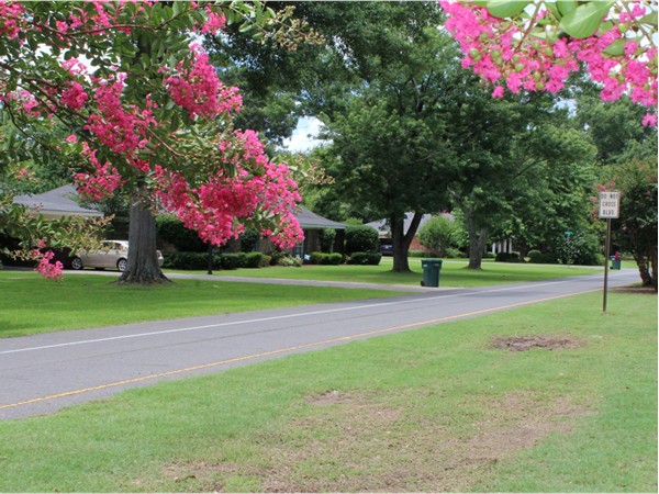 Gorgeous landscaping and towering trees can be found in the Plantation Park neighborhood