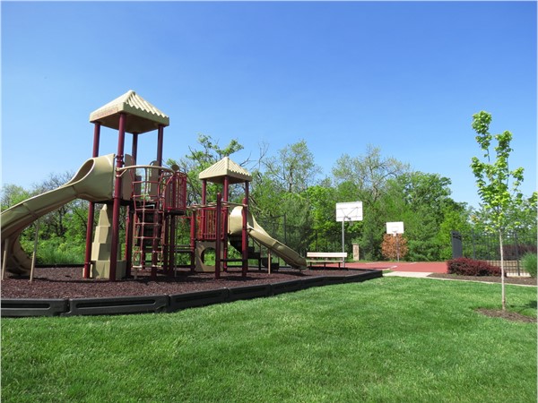 Playground at The Reserve's Amenity Center