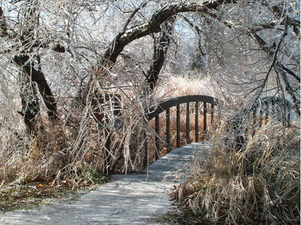 Winter scene at Dyck Arboretum of the Plains