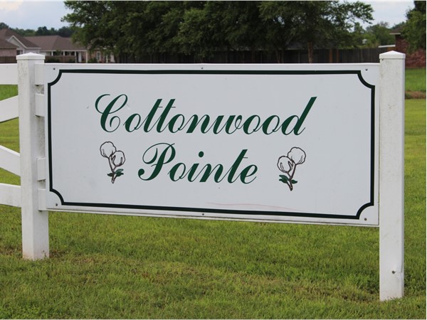 Cottonwood Pointe is an exclusive neighborhood with homes ranging from $225K-$350K