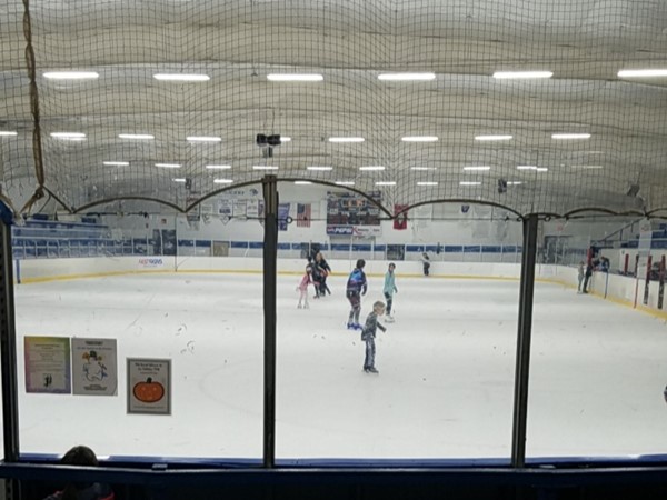 I recently went ice skating for the first time, and it was a blast
