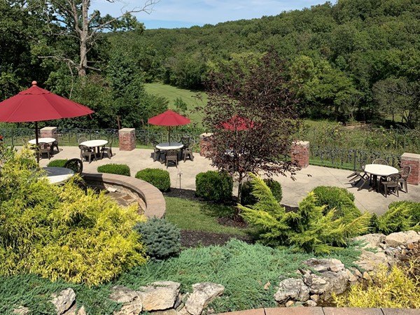 Grab a glass of wine and relax at Seven Springs Winery in Linn Creek