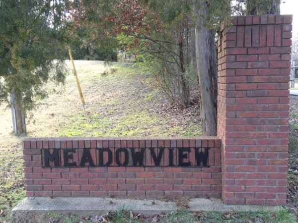 Meadowview is one of Oxford's most popular neighborhoods. Homes usually start around 185K