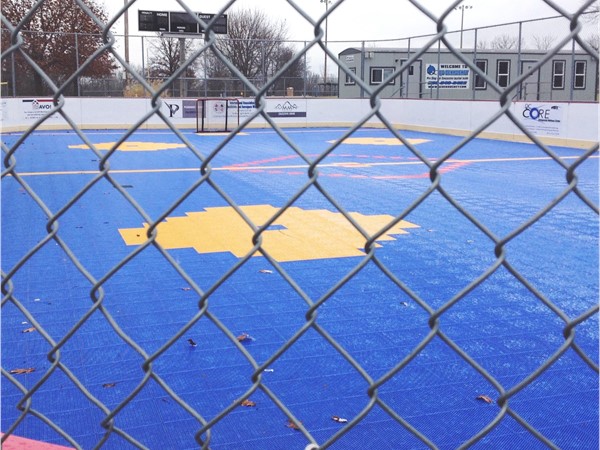 Deck Hockey at the park too! No problem! You can even rent the rinks for parties too