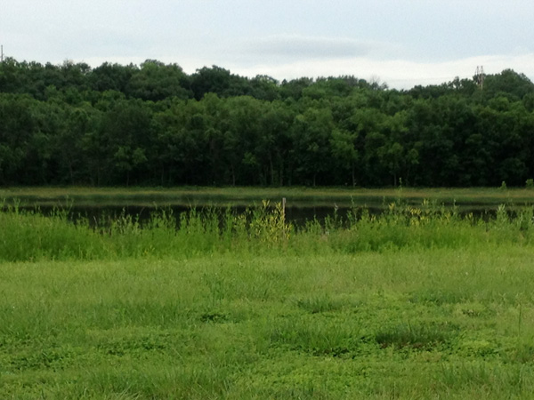 Peaceful view, Tallgrass at Wilderness Valley, note the crane in the distance (bird, not machinery)