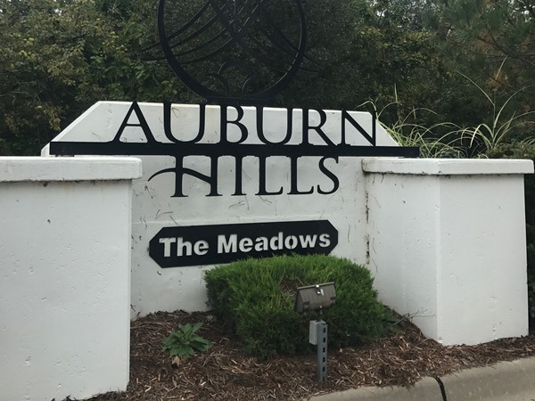 Auburn Hills - The Meadows in the Goddard School District 