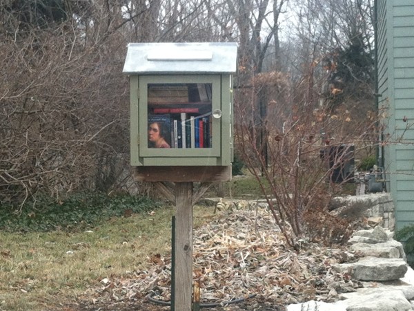 Roadside Library in Valley View neighborhood