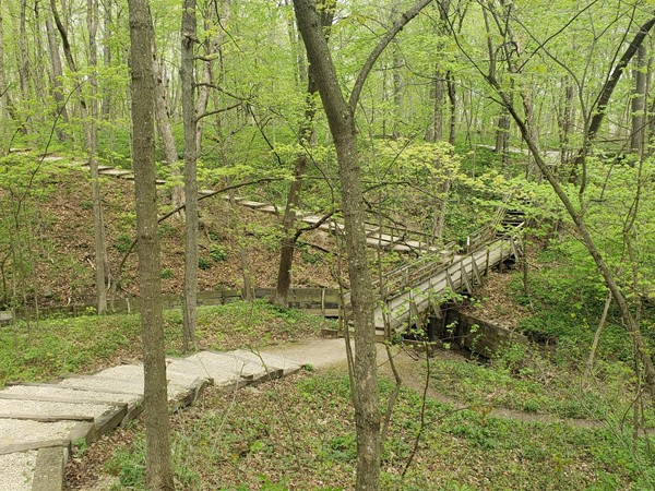 Hartman Reserve Nature Center is a beautiful place to walk, sit back, and enjoy nature 