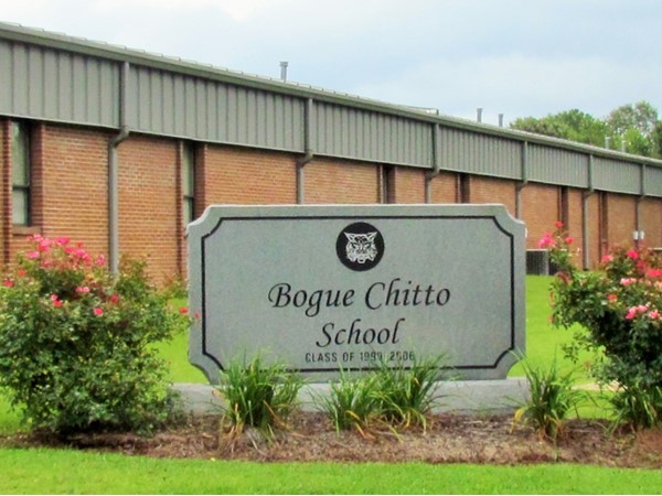 Bogue Chitto Public School