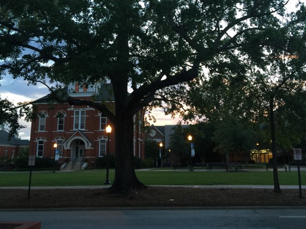 Another beautiful evening on the plains