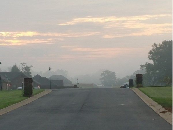 Foggy morning in Bianca Meadows