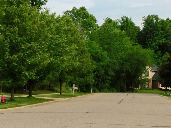 Wooded areas surround The Waterways community