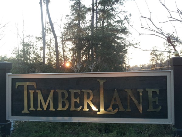 TimberLane Subdivision