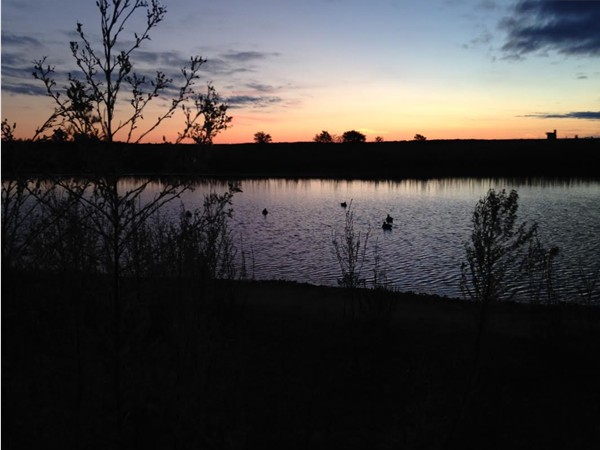 Northwest OK is a bird and duck hunters paradise. Who wouldn't want to wake up early and see this