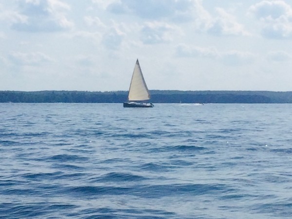 Beautiful sailboats on beautiful Higgins Lake