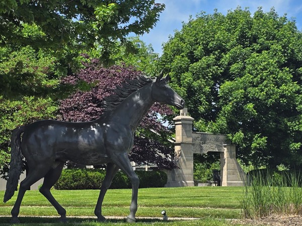 Highland Meadows is a luxury residential community located on the west side of Lee’s Summit