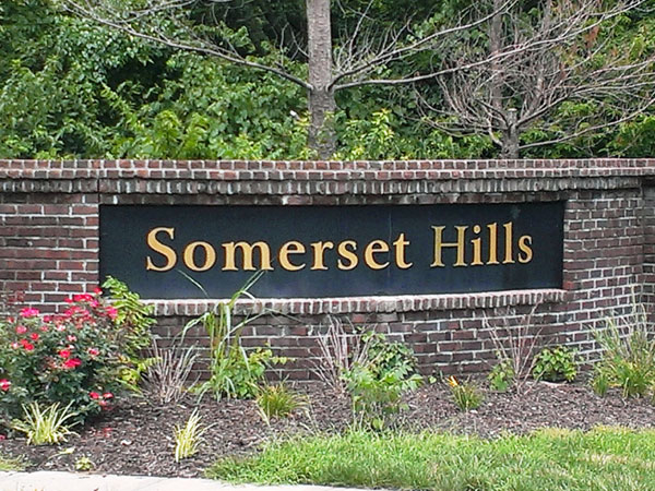 Somerset Hills