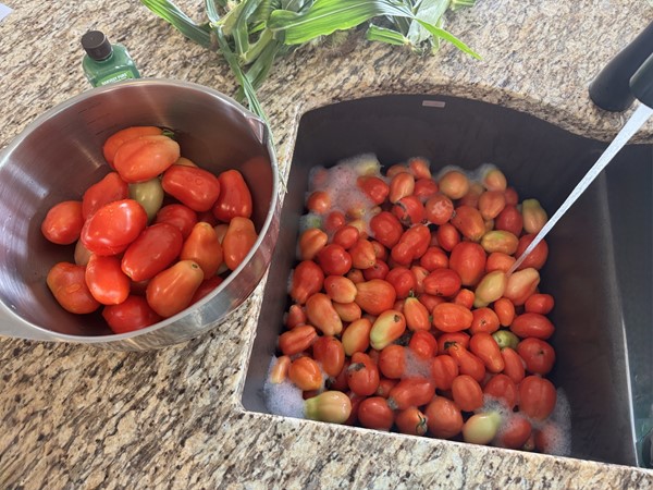 Are you gardening this year? Raised beds and container gardening are very popular among neighbors