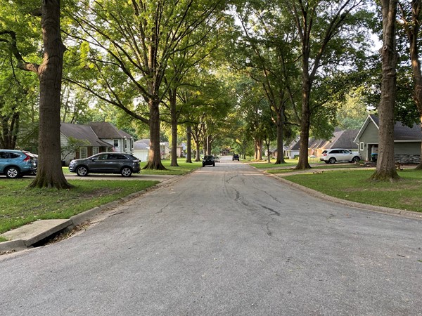 Neighboring Leawood Park, Leawood Estates is a beautiful and gorgeous tree-lined neighborhood 
