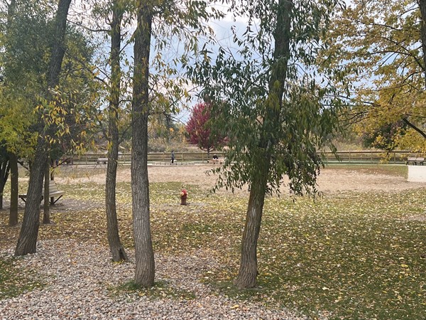 Davison Area Dog Park is a great place to bring your dogs to run and play
