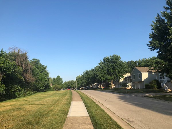 Beautiful, quiet morning in the neighborhood 