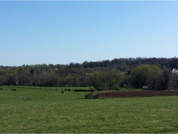 The rolling hills in the country side of Buckner. 