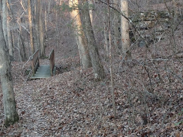 One of the two trail bridges on the hike between Pruitt and Camp Orr