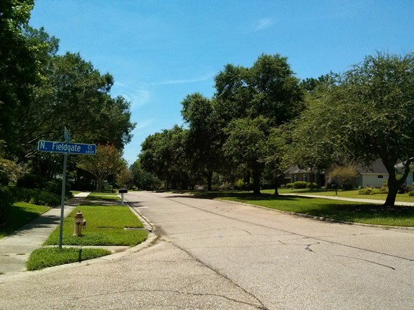 Tree lined boulevard in Woodgate subdivision