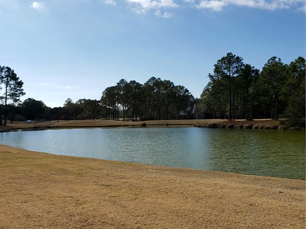 One of the lovely golf course ponds in Shell Landing. I always seem to drop a ball in there