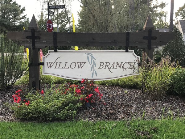 Beautiful Willow Branch Subdivision