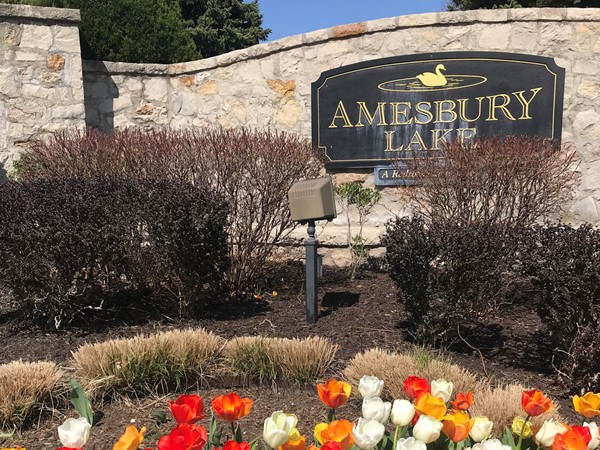 Spring at Amesbury Lake Community