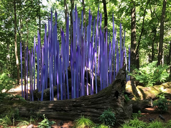 Reeds on Logs at Dale Chihuly - Crystal Bridges Museum of American Art