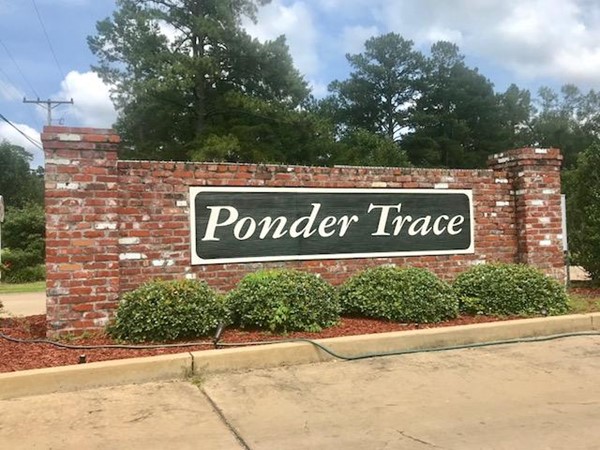 Welcome to Ponder Trace 
