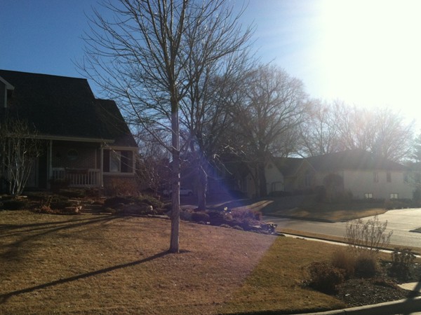 Morning sunshine in Pioneer Ridge West neighborhood