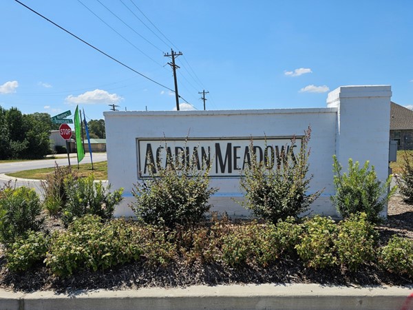 Affordable new homes in Acadian Meadows