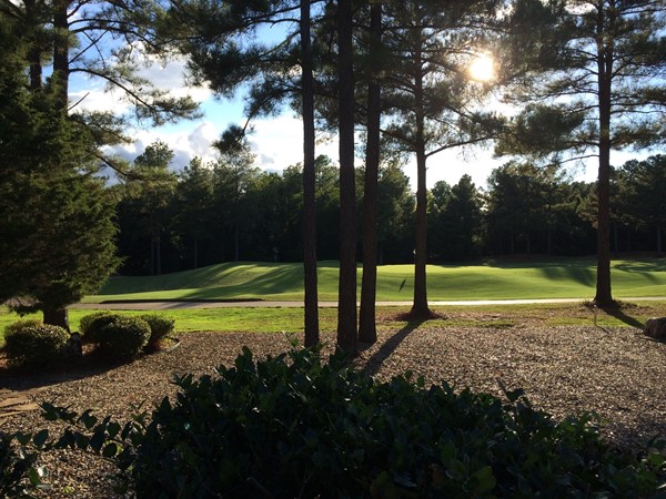 Beautiful view of the #4 green on Isabella Golf Course 