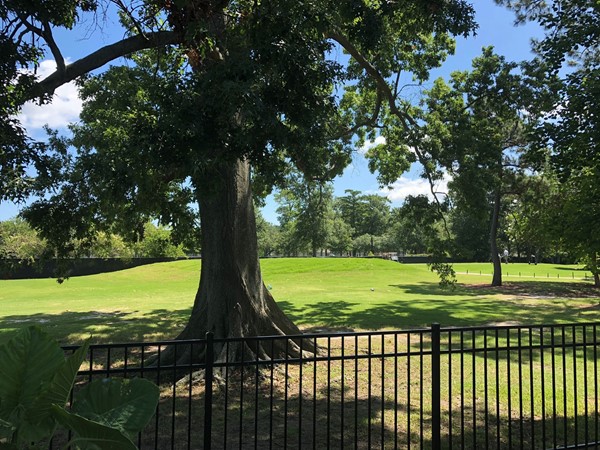 Views of the golf course in Old Metairie