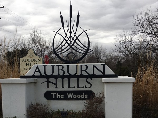 Auburn Hills, The Woods