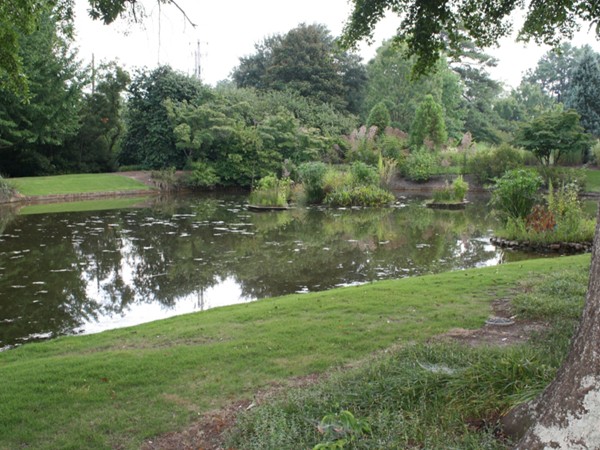 Enjoy the peaceful surroundings at the Birmingham Botanical Gardens