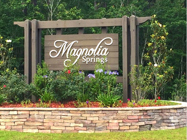 Magnolia Springs Subdivision