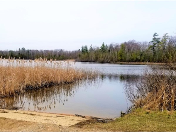 Ellis Lake - A 70 acre private fishing lake in Grawn Michigan