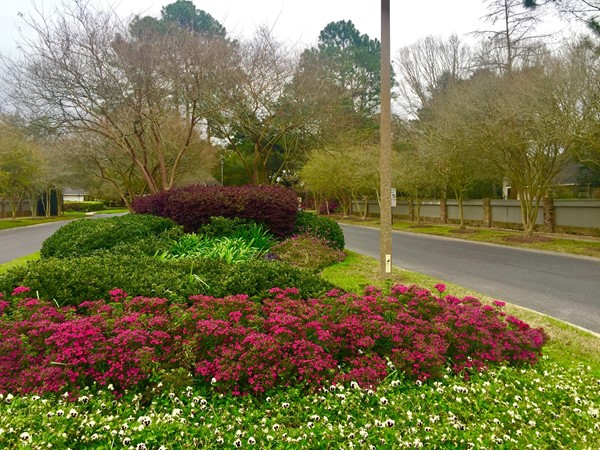 Spring flowers blooming at Woodstone entrance