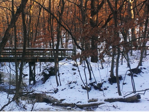 Snow covered foot bridge at Maple Woods Nature Preserve