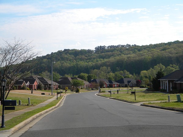 A picturesque street view of Cove Creek Crossing in Priceville, Alabama