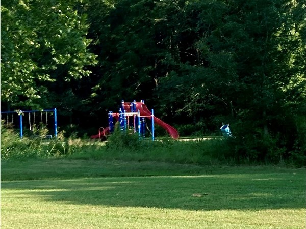 Playground at Northwyck Park in Liberty