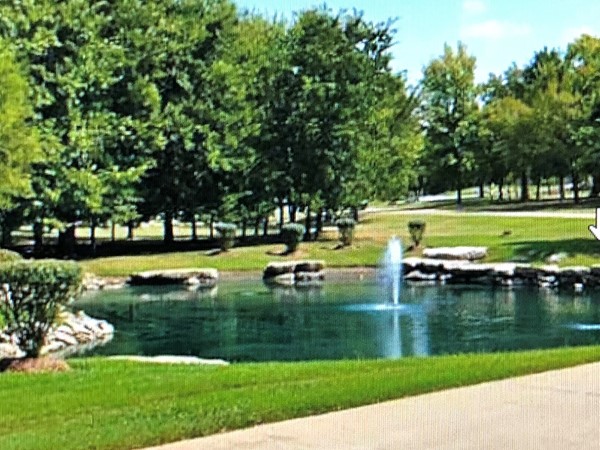 Gorgeous ponds with fountains throughout the neighborhood